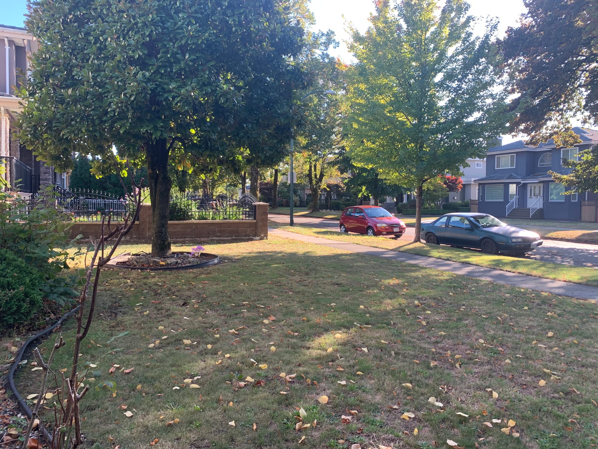 🏡 Vancouver Butler St by E 46th Ave Ground Level Studio for rent