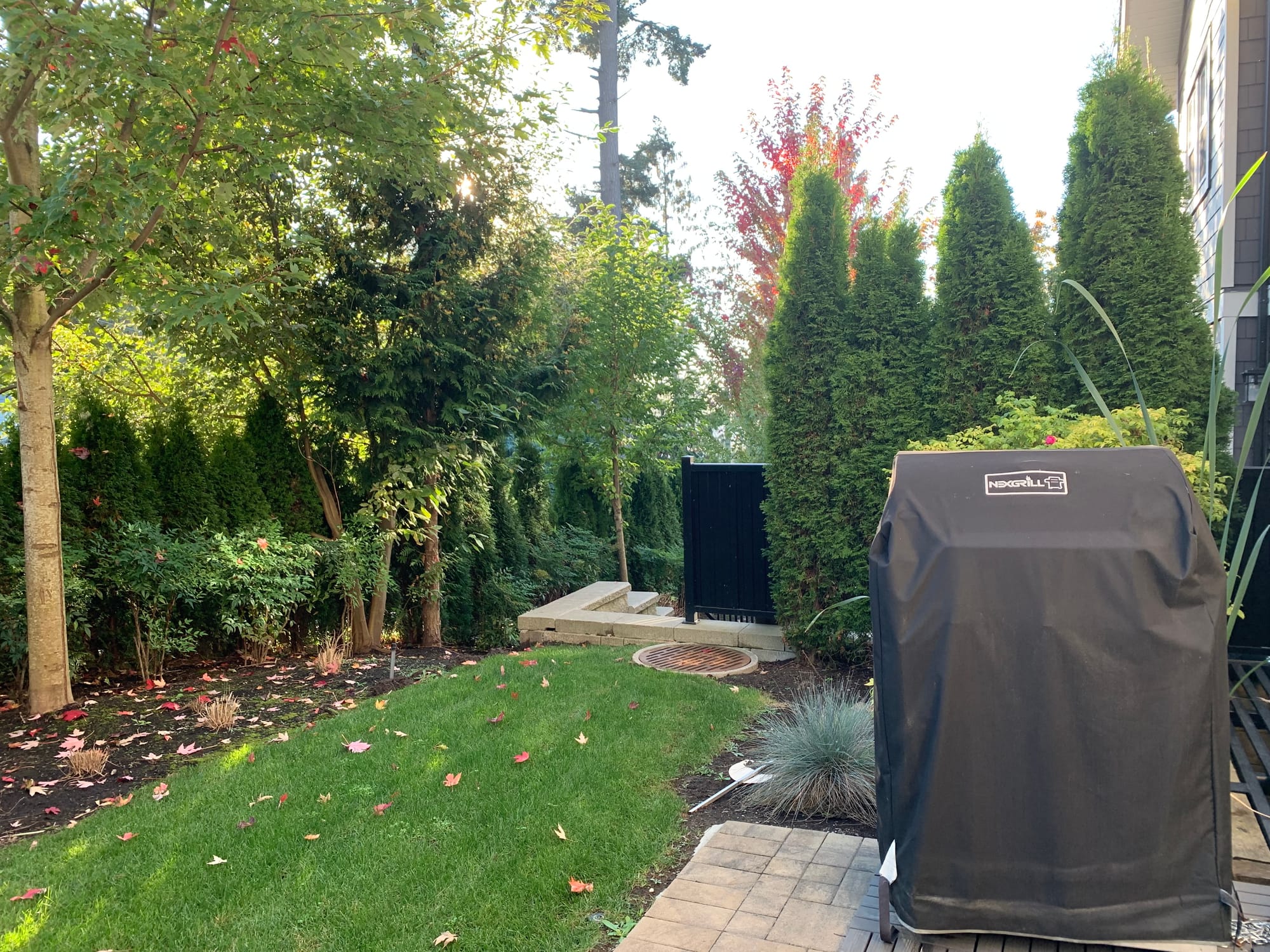 π‘ Surrey 124 St. by 104 Ave. 4 bed 4 bath beautiful Townhouse for rent
