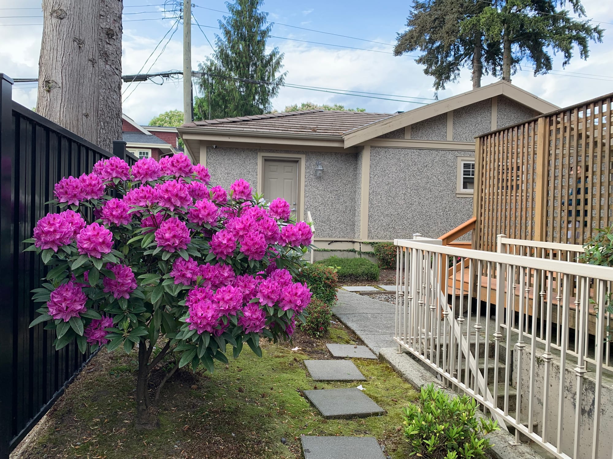 🏡 Vancouver Basement W 44th Ave by Maple St 2bed 1bath