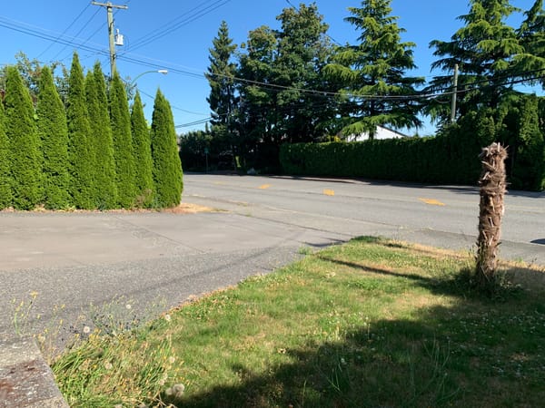 🏡 White Rock Buena Vista Ave by Finlay St 4bed 3bath beautiful house