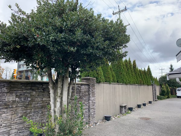 🏡 Burnaby Kingsway by 16th Ave 1bed 1bath Unit in a beautiful House
