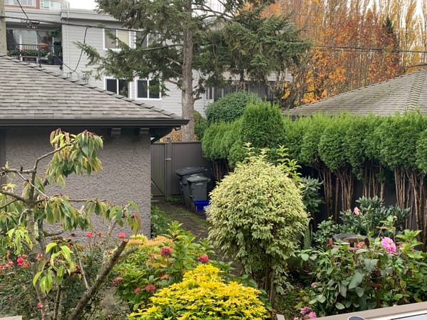 🏡 Vancouver W 3rd Ave by Highbury St 4bed 5bath beautiful House for rent